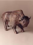 Bison