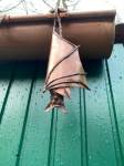 Fledermaus hngend