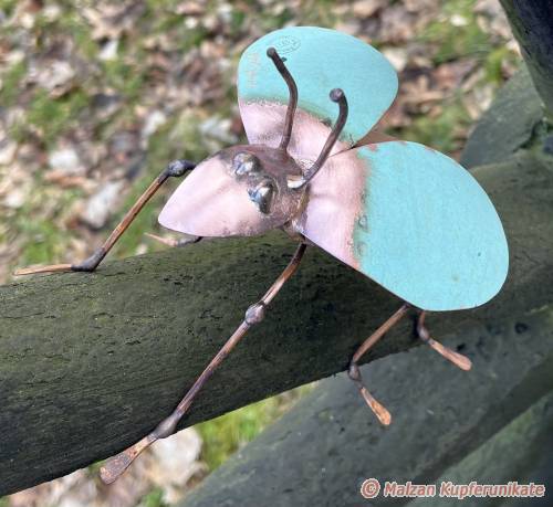 Kfer mit Patinakupferflgel