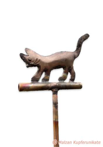 Kleine Katze auf Stab