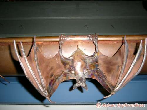 Fledermaus