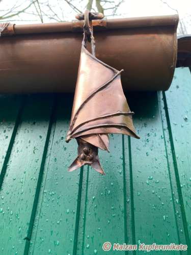 Fledermaus hngend