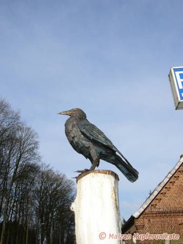 naturgetreue Krähe