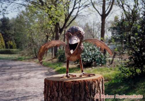 Groer Brillenrabe als Standrabe