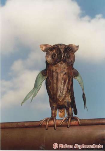 Waldohreule, Dachschmuck